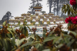 Bhutan_2025 (79/79)